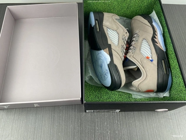 Cheap TBK 4006 DX6325- TechFriendly Jordan5 Low 1026